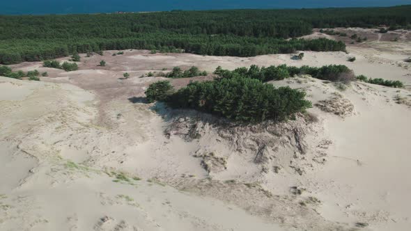 Curonian Spit Efa Dune