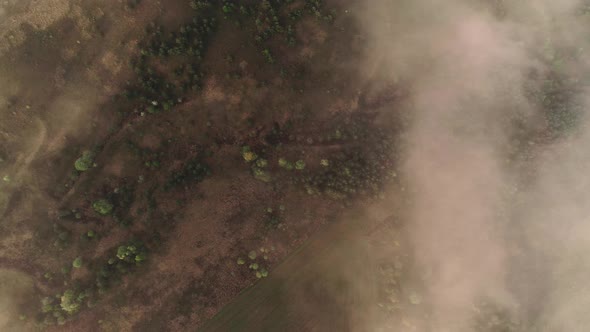 Flying Above Clouds And Trees