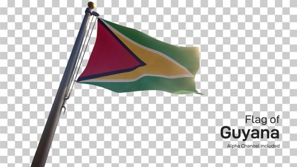 Guyana Flag on a Flagpole with Alpha-Channel