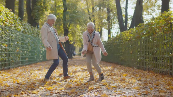Happy Beautiful Senior Couple Dancing in Autumn Park