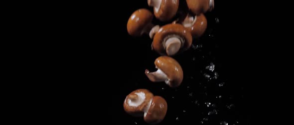 Wet Champignons Spinning with Water Splashes on a Black Background in Slow Motion Shot Water Drops