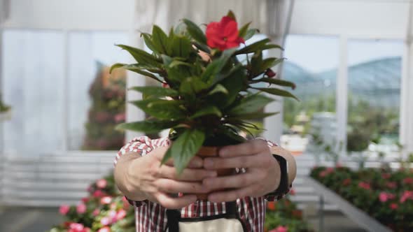 Flower Pot in the Hands of the Gardener