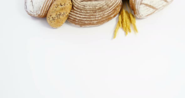 Various types of breads with wheat grains