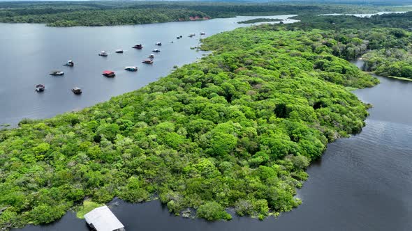 Stunning landscape of Amazon Forest at Amazonas State Brazil.