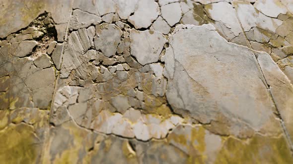 Wall Fragment with Scratches and Cracks