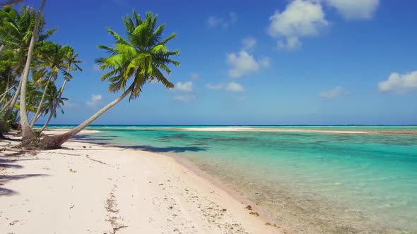 Tropical Beach with Palm Trees in French Polynesia 87