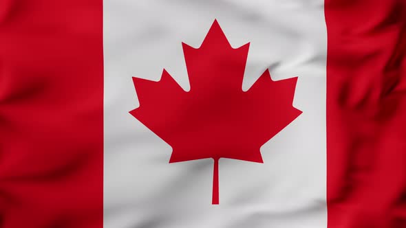 3D Animation Flag Waving in Slow Motion Fill Frame  Canada