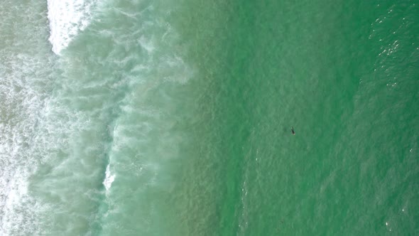 Drone top aerial view above surfer surfing on paradise turquoise sea water crashing waves, in Spain