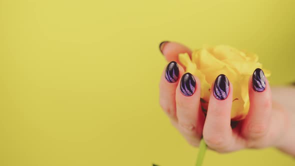 Adult Woman's Hand with Yellow Flower