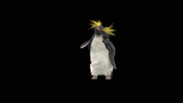 79 Penguin Dancing HD