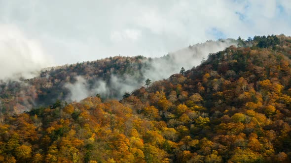 Hilltop In Autumn