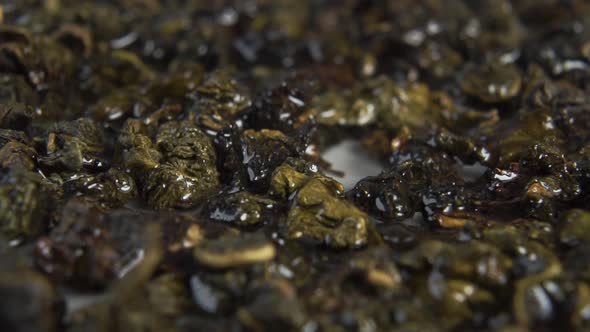 Soaking steeping dry green tea leaves. Brewing