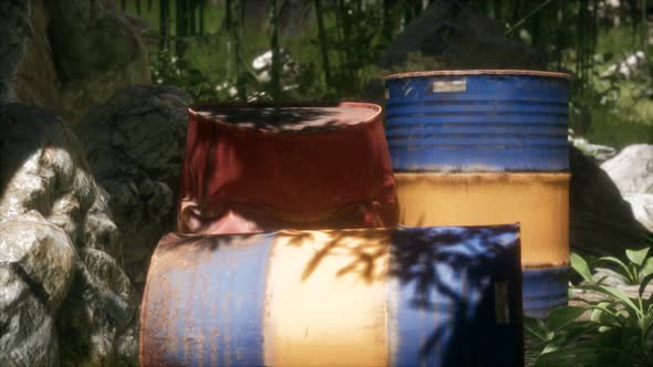 Rusty Barrels in Green Forest