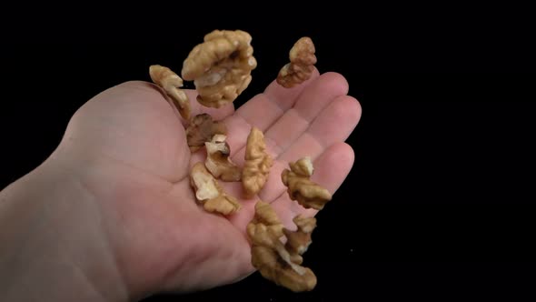 The Walnut Kernels Will Fall Into the Hand on a Black Background
