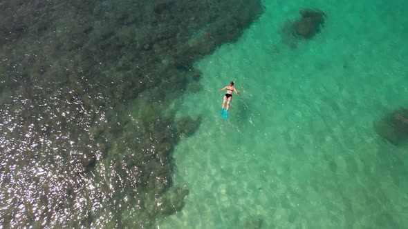 Aerial View of a Beautiful Girl in a Black Swimsuit Snorkeling with a Mask Snorkel and Fins in the