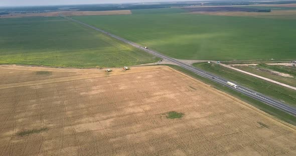 Panoramic View Wheat Field and Meadow Crossed By Road