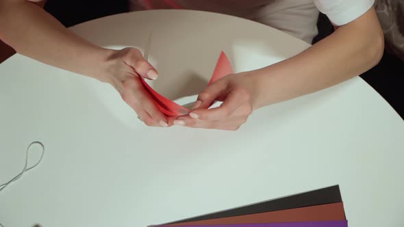 Female Hands Making Cardboard Craft