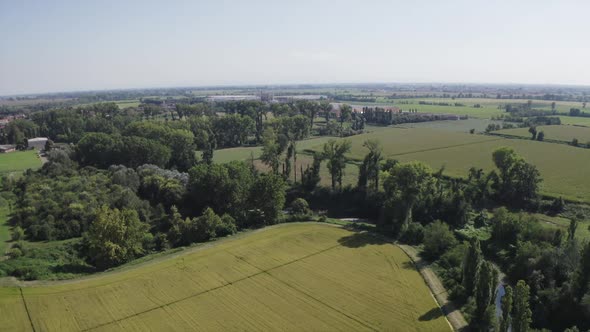 Aerial view on forest in italy