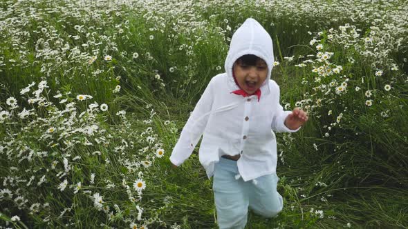 Boy Child Runs Through a Chamomile Field