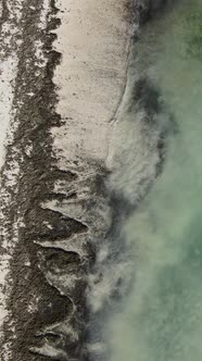 Vertical Video of the Ocean Near the Coast of Zanzibar Tanzania