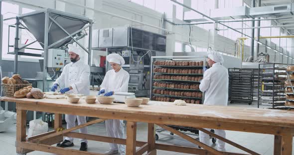 Big Commercial Bakery Industry Three Bakers