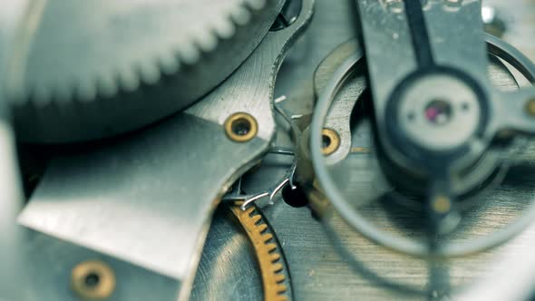 Gears of a Watch Mechanism in a Close Up