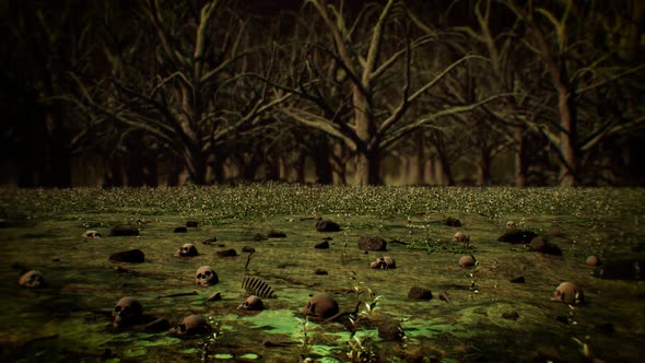 Human Bones On The Polluted Dead Forest Ground 4K 05