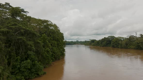 Verdant vegetation growing on bank of mighty Amazon river; aerial