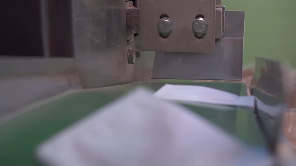 a Conveyor for Packing Herbal Tea in a Factory