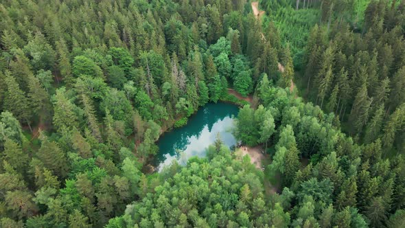 Aerial View of Blue Colored Forest Lake in Poland