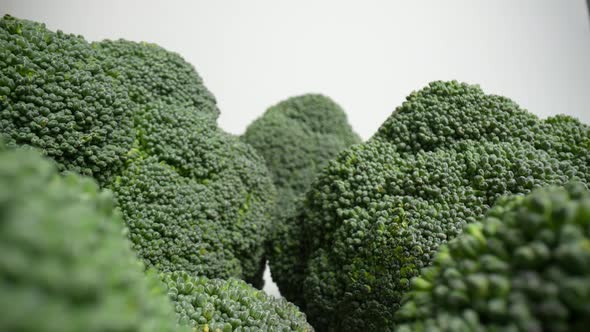 Fresh Green Broccoli 54