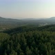 Flying over Pine Forest - VideoHive Item for Sale