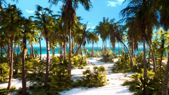 Paradise Landscape of Tropical Beach with Calm Ocean Waves and Palm Trees