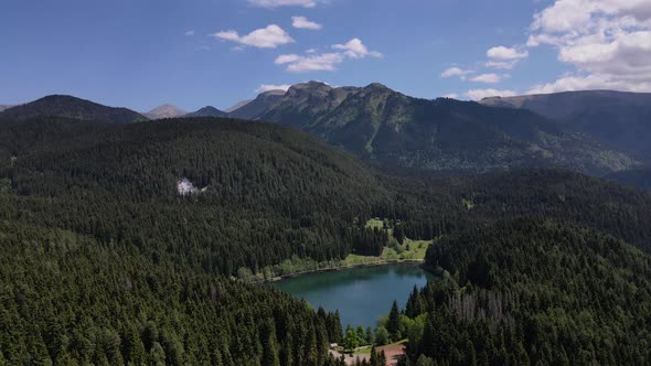 Lake Among Pine Forests