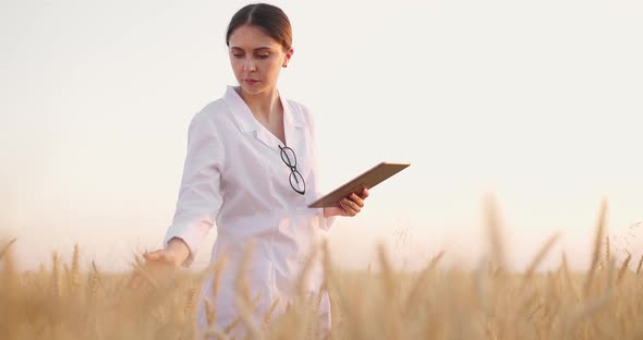 Clever Agronomist Controling Crop Quality in Wheat Field Using Tablet