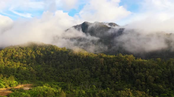 Mountains with Rainforest and Clouds