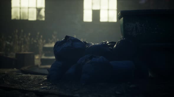 Garbage Bags at City Street an Night alt