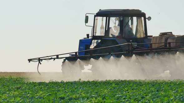 A Tractor Sprayer Treats the Plantations with a Sprayer Herbicides and Pesticides