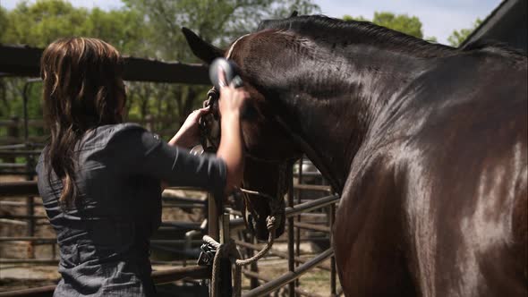 Slow Motion Shot of A Woman Grooming a Horse