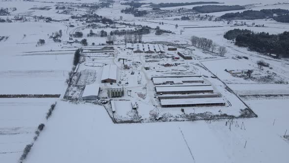 A Large Dairy Farm for Breeding Cows is Covered with Snow