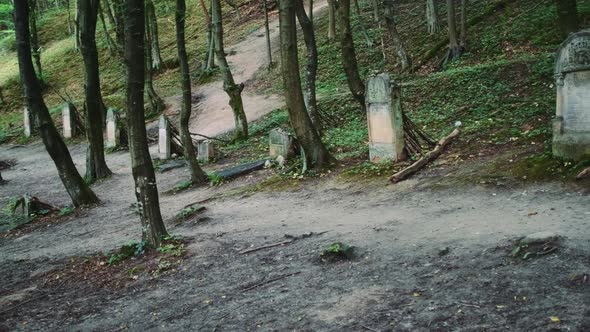 Old Cemetery with Jewish Tombstones