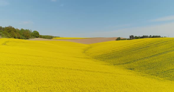 Aerial View of Various Agriculture Fields Blooming