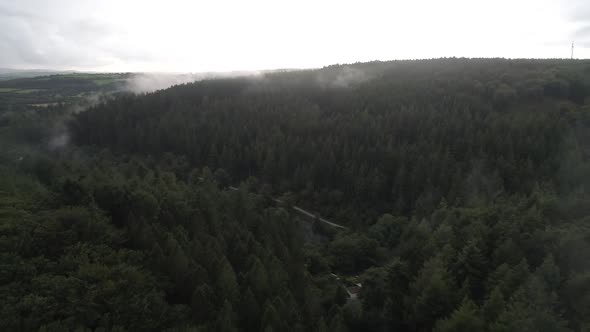 Aerial fly away shot of foggy woodland deep in the countryside