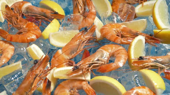 Prawns And Lemon Slices Food Display