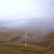 Wind Farm - VideoHive Item for Sale