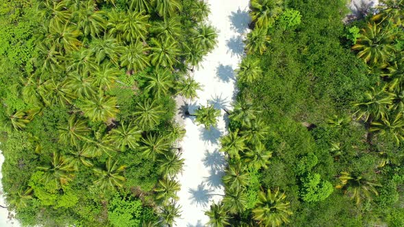 Tropical birds eye island view of a sandy white paradise beach and aqua blue water background in 4K