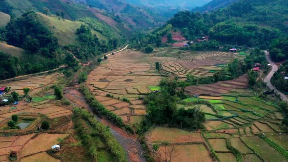 Wat Ban Wen Rice Fields in Nan Province Thailand