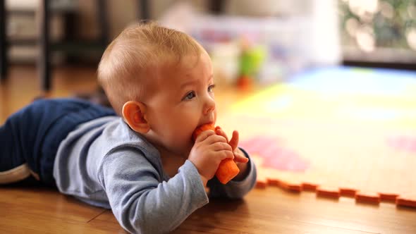 Kid Gnaws a Carrot Lying on His Tummy on the Wooden Floor