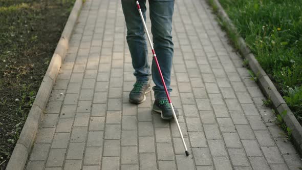 Feet of a Blind Man with a Cane