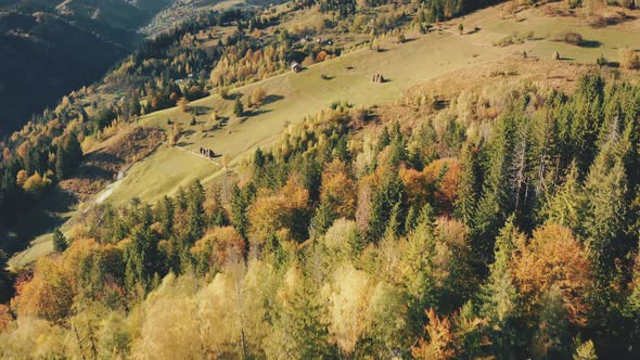 Autumn Mountain Landscape Aerial